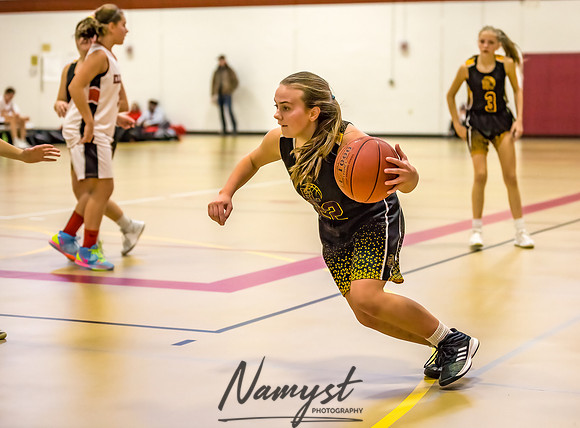 Forest Lake Girls 7 Maroon Basketball 198
