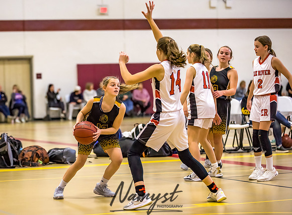 Forest Lake Girls 7 Maroon Basketball 200
