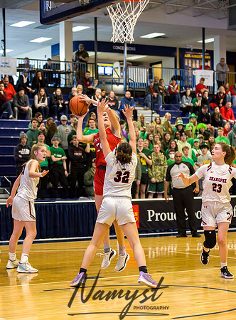 Centennial vs Shakopee Girls Basketball - State Tournament 065