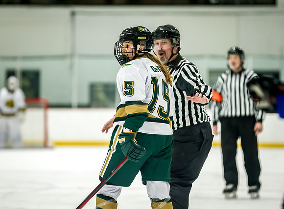 Chisago vs Rogers Varsity Hockey 386