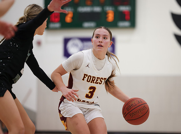 Mounds View vs Forest Lake Varsity Basketball 245