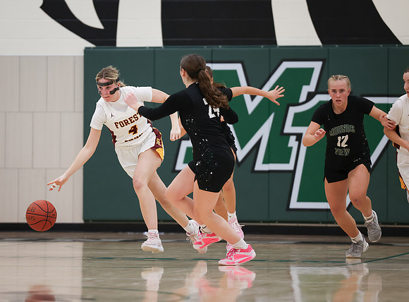 Mounds View vs Forest Lake Varsity Basketball 140