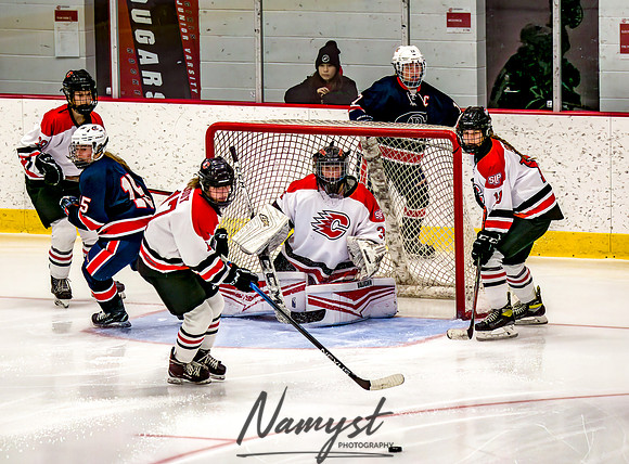 Centennial-SLP vs Champlin-Coon Rapids Varsity Girls Hockey l 176