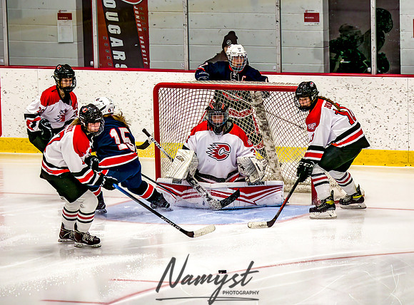 Centennial-SLP vs Champlin-Coon Rapids Varsity Girls Hockey l 175