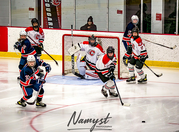 Centennial-SLP vs Champlin-Coon Rapids Varsity Girls Hockey l 177
