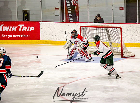 Centennial-SLP vs Champlin-Coon Rapids Varsity Girls Hockey l 190