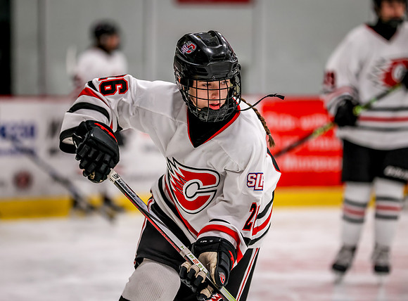 Centennial vs Holy Angels JV Hockey 11