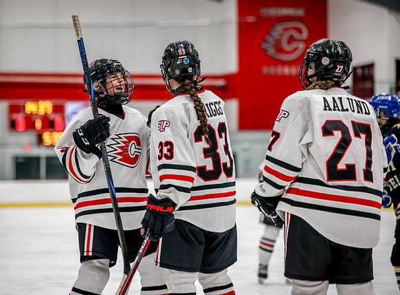 Centennial vs Holy Angels JV Hockey 35