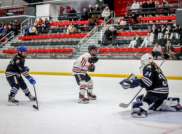 Centennial vs Holy Angels JV Hockey 65