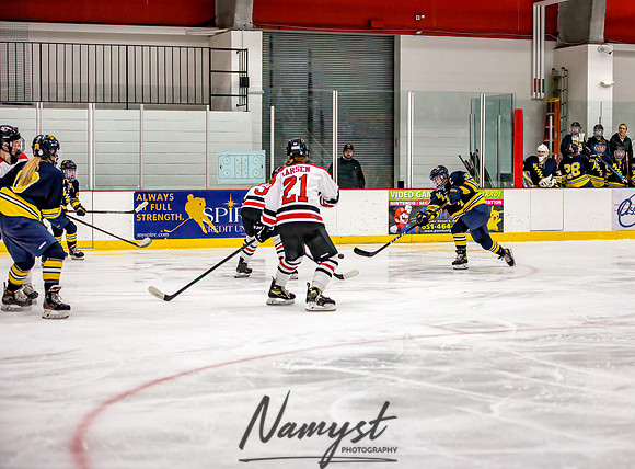 Centennial-Spring Lake Park vs Wayzata Varsity Girls Hockey-102