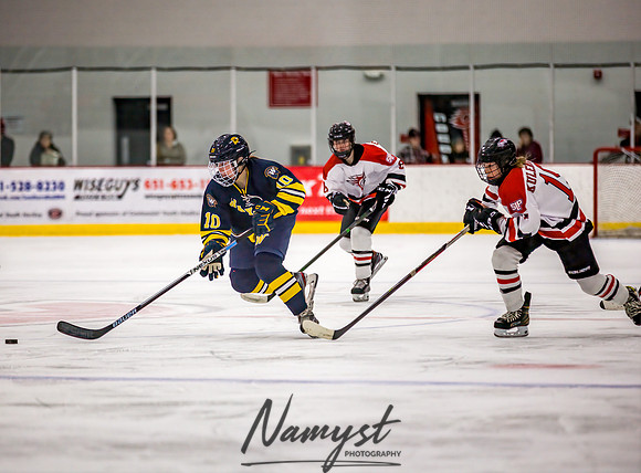 Centennial-Spring Lake Park vs Wayzata Varsity Girls Hockey-111