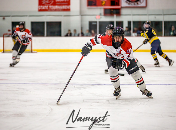 Centennial-Spring Lake Park vs Wayzata Varsity Girls Hockey-121