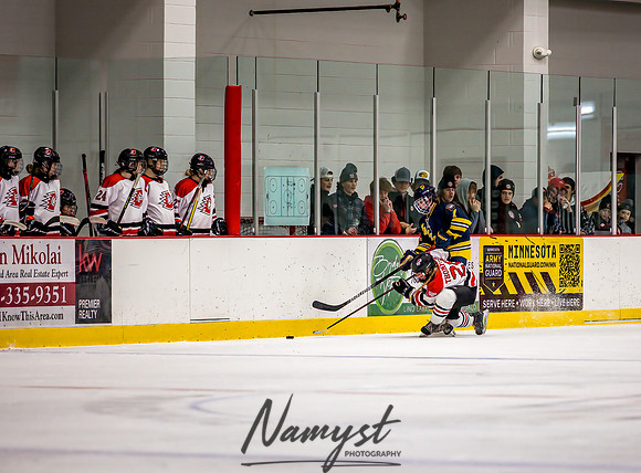 Centennial-Spring Lake Park vs Wayzata Varsity Girls Hockey-124