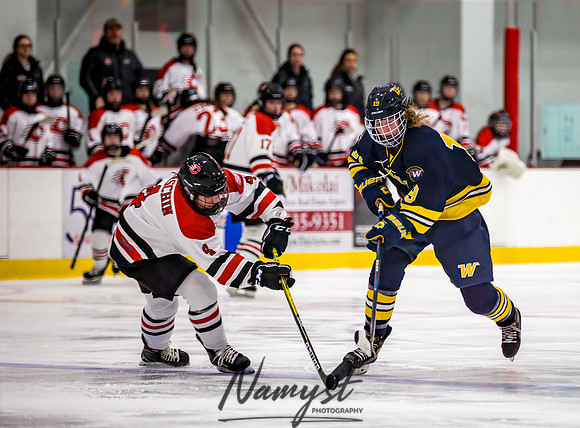 Centennial-Spring Lake Park vs Wayzata Varsity Girls Hockey-160