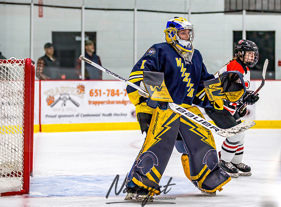 Centennial-Spring Lake Park vs Wayzata Varsity Girls Hockey-30