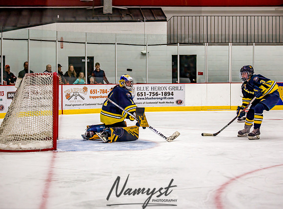 Centennial-Spring Lake Park vs Wayzata Varsity Girls Hockey-44