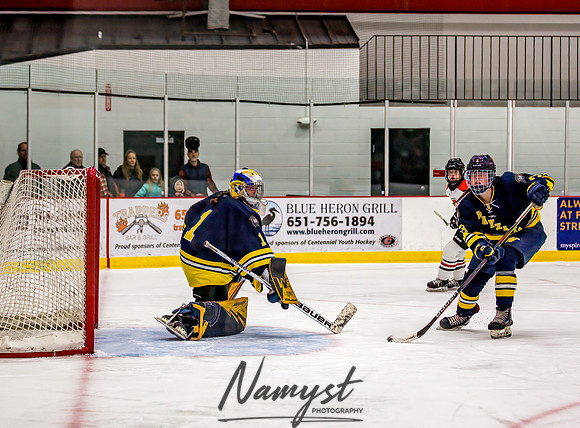 Centennial-Spring Lake Park vs Wayzata Varsity Girls Hockey-45
