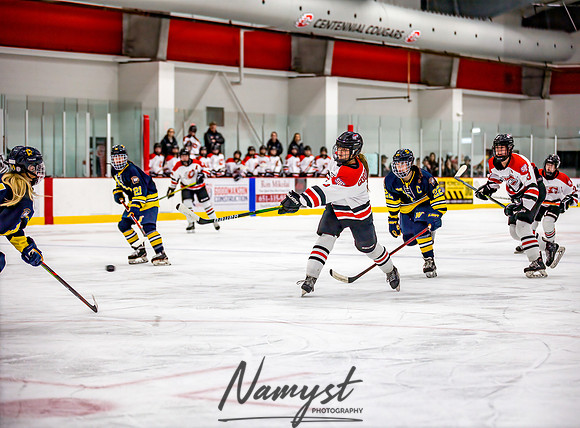 Centennial-Spring Lake Park vs Wayzata Varsity Girls Hockey-47