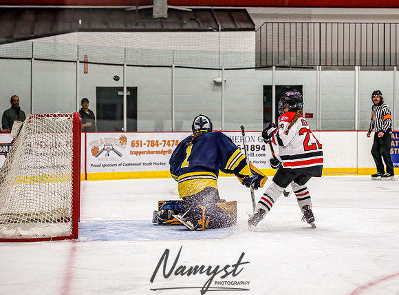Centennial-Spring Lake Park vs Wayzata Varsity Girls Hockey-58
