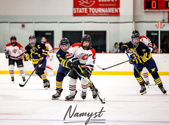 Centennial-Spring Lake Park vs Wayzata Varsity Girls Hockey-59