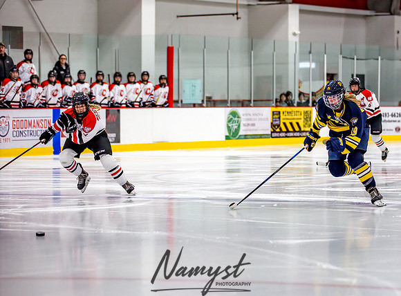 Centennial-Spring Lake Park vs Wayzata Varsity Girls Hockey-67