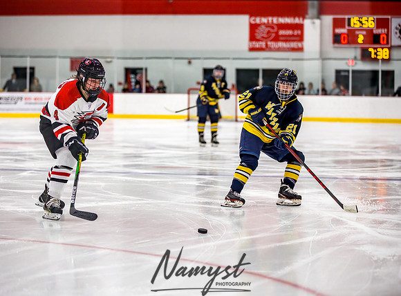 Centennial-Spring Lake Park vs Wayzata Varsity Girls Hockey-76