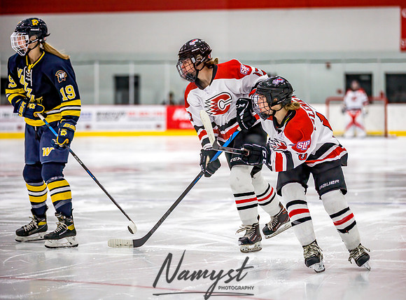 Centennial-Spring Lake Park vs Wayzata Varsity Girls Hockey-8