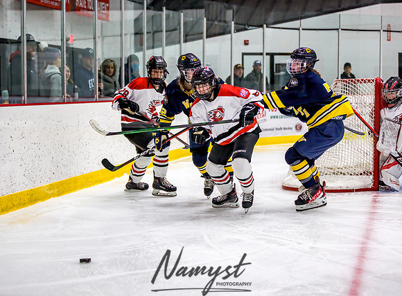 Centennial-Spring Lake Park vs Wayzata Varsity Girls Hockey-95
