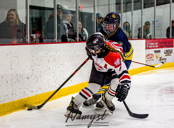 Centennial-Spring Lake Park vs Wayzata Varsity Girls Hockey-97