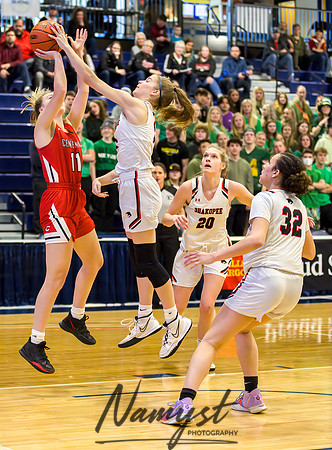 Centennial vs Shakopee Girls Basketball - State Tournament 059