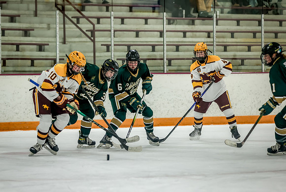 Chisago vs Forest Lake JV Hockey 79