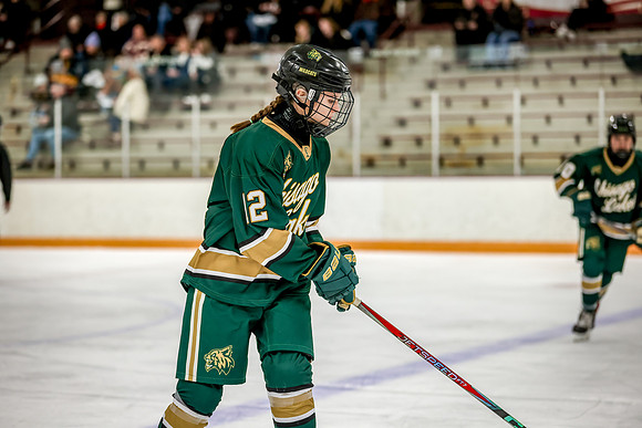 Chisago vs Forest Lake Varsity Hockey 3