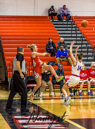 Centennial vs Robbinsdale Armstrong Girls Varsity Basketball 089