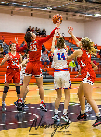 Centennial vs Robbinsdale Armstrong Girls Varsity Basketball 154