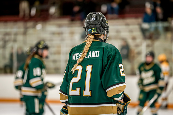 Chisago vs Forest Lake Varsity Hockey 48