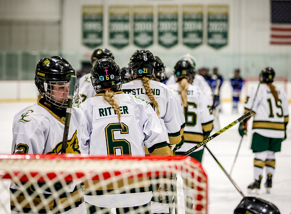 Chisago vs Rogers Varsity Hockey 401