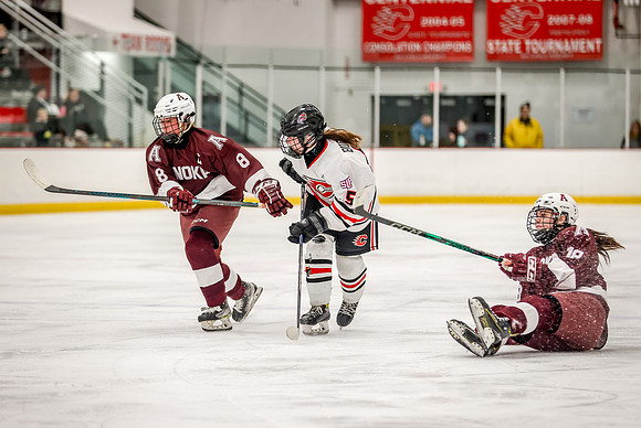 Centennial vs Anoka Varsity Hockey 167
