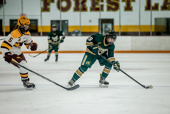 Chisago vs Forest Lake JV Hockey 88