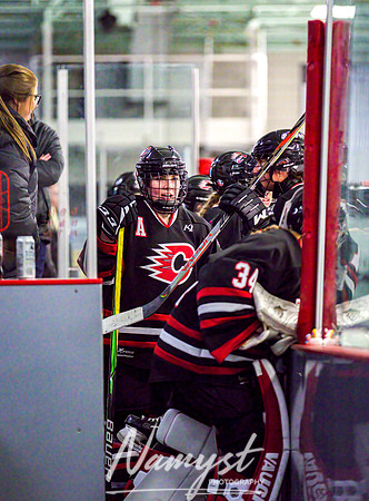 Centennial-Spring Lake Park vs Rogers Girls Varsity Hockey 130