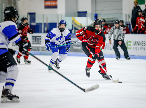 Centennial vs Cambridge Isanti Hockey 239