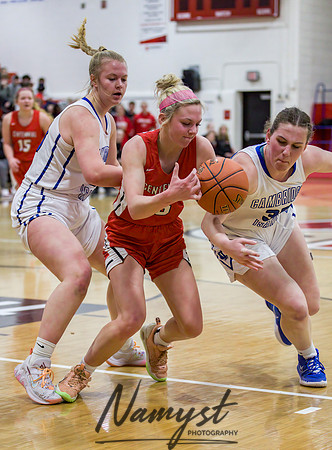 Centennial vs Cambridge-Isanti Girls Varsity Basketball 076