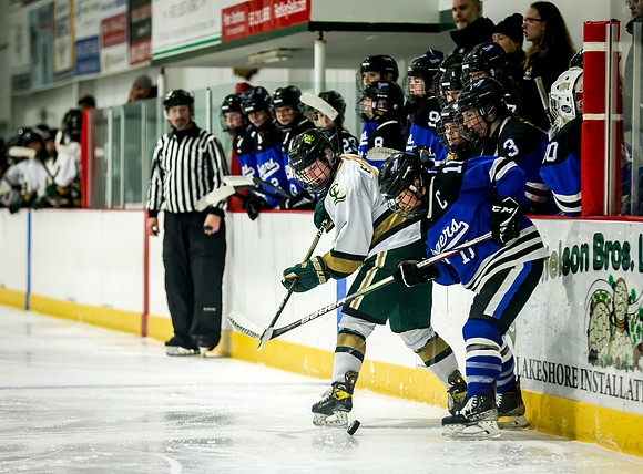 Chisago vs Rogers Varsity Hockey 353