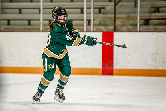 Chisago vs Forest Lake Varsity Hockey 49