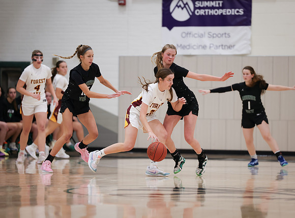 Mounds View vs Forest Lake Varsity Basketball 72