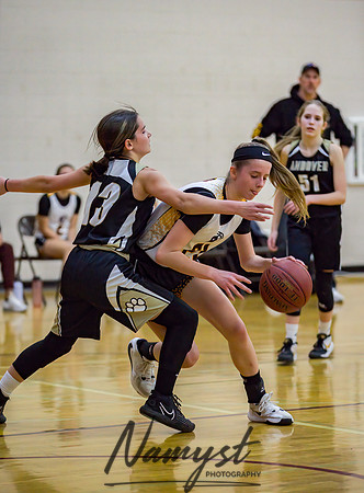 Forest Lake Girls 7 Maroon Basketball 108
