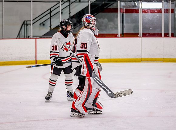 Centennial vs Holy Angels JV Hockey 245