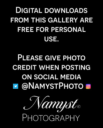 Free Digitals