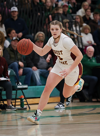 Mounds View vs Forest Lake Varsity Basketball 249