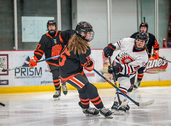 Centennial vs White Bear Lake JV Hockey 86