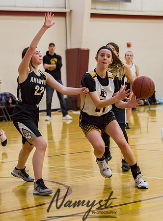 Forest Lake Girls 7 Maroon Basketball 110